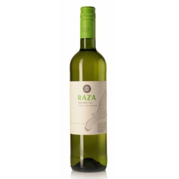 Raza Vinho Verde Branco